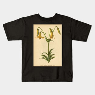 Canada Lily-Available As Art Prints-Mugs,Cases,Duvets,T Shirts,Stickers,etc Kids T-Shirt